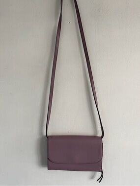 Vera Wang Mauve Crossbody Bag